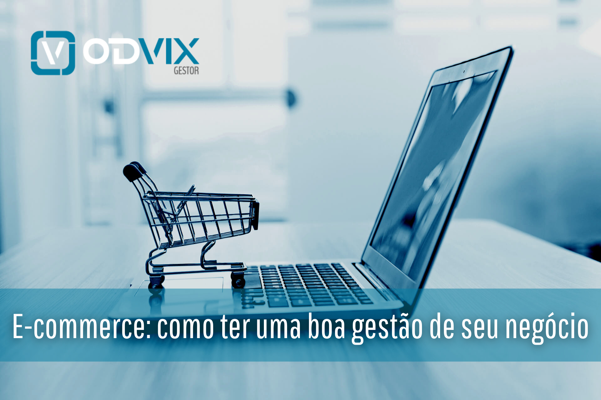 E-commerce: como ter uma boa gestão de seu negócio.